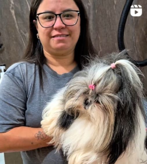 Serviços 9 Banho e tosa em Itajaí